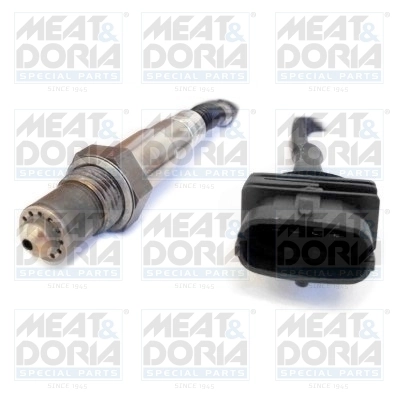 Oxygen Sensor